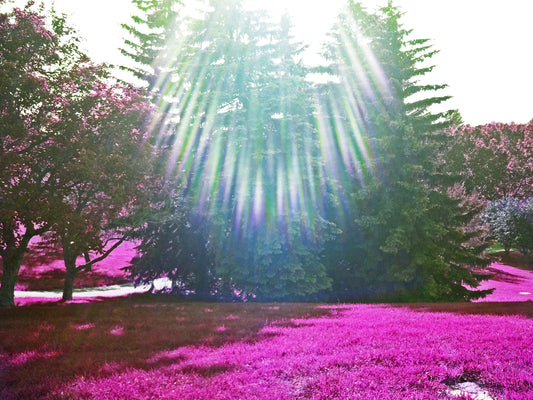 SPIRITUALLY YOU© Course (8hours)